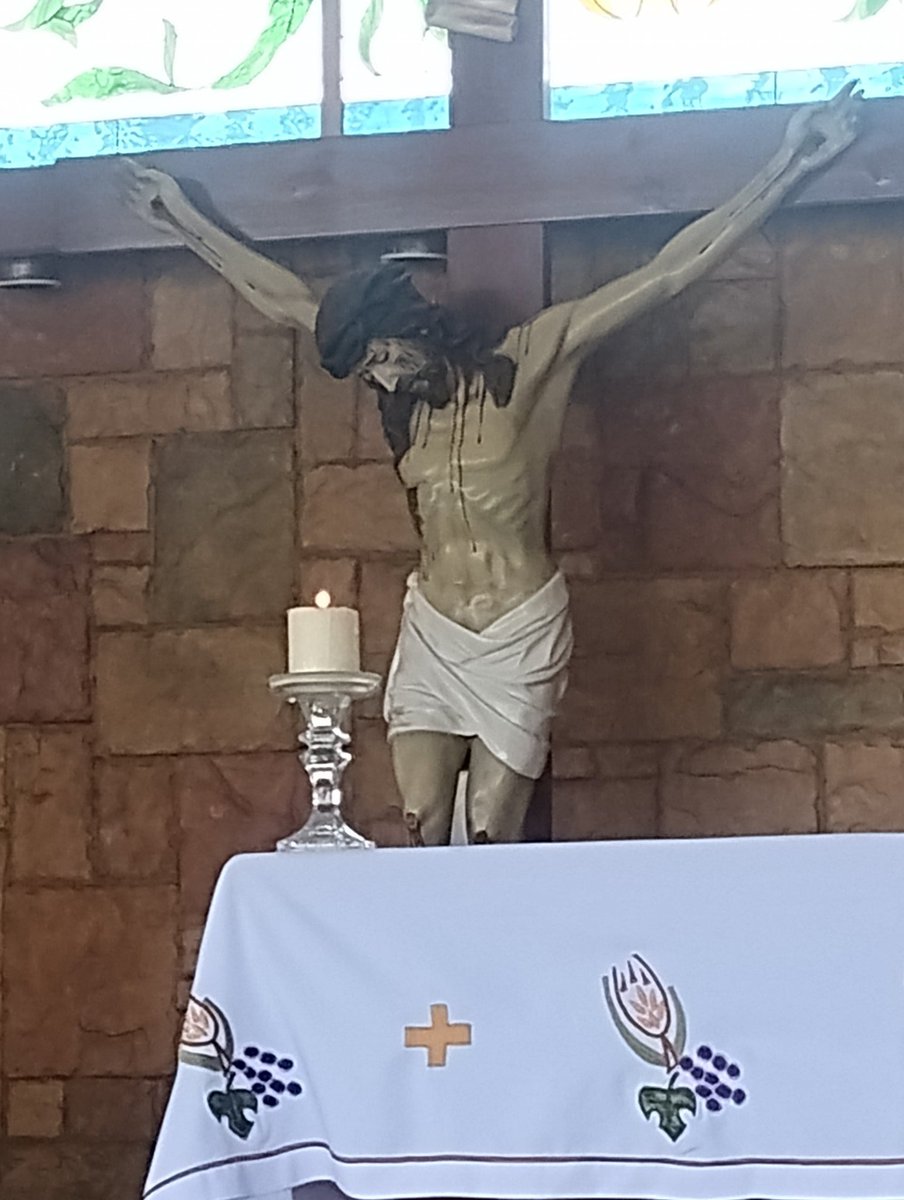 Consuelo Navarro 🇲🇽🇪🇸 tweet media