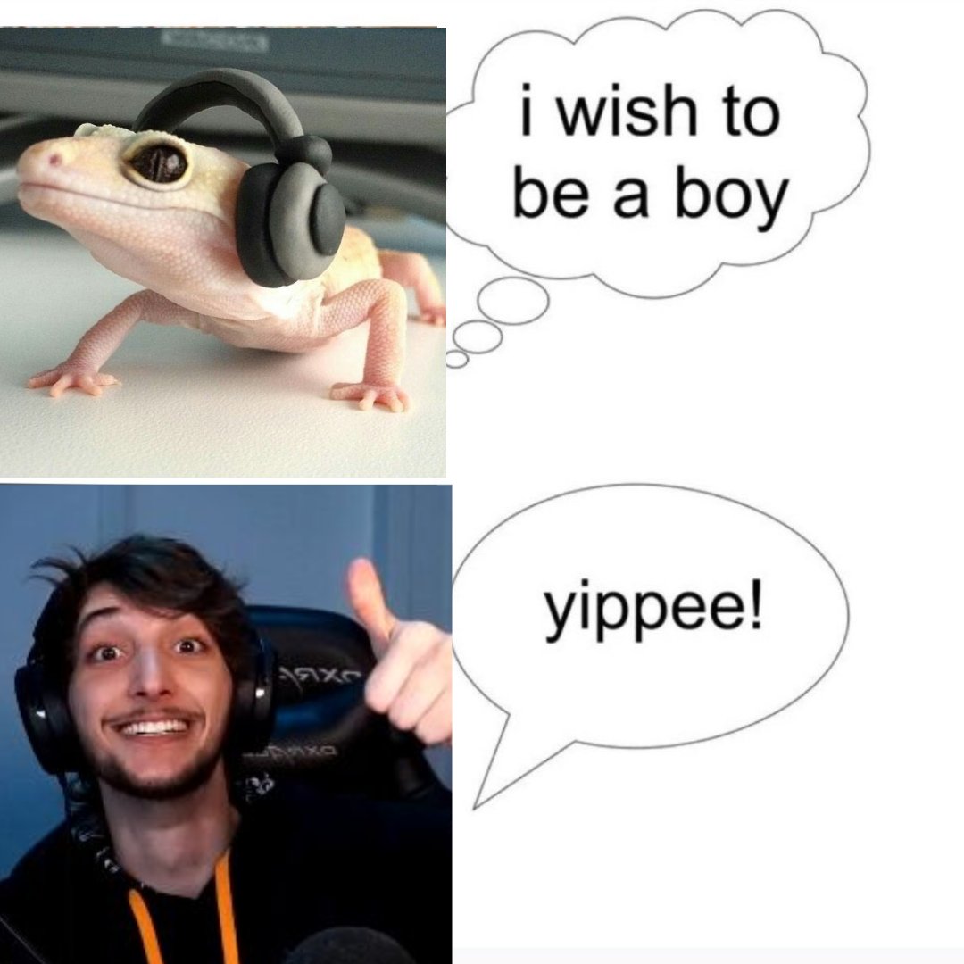 choquei calango 🦎 tweet media