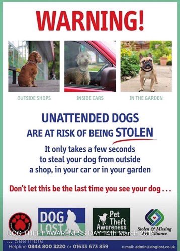 All Creatures Rescue tweet media