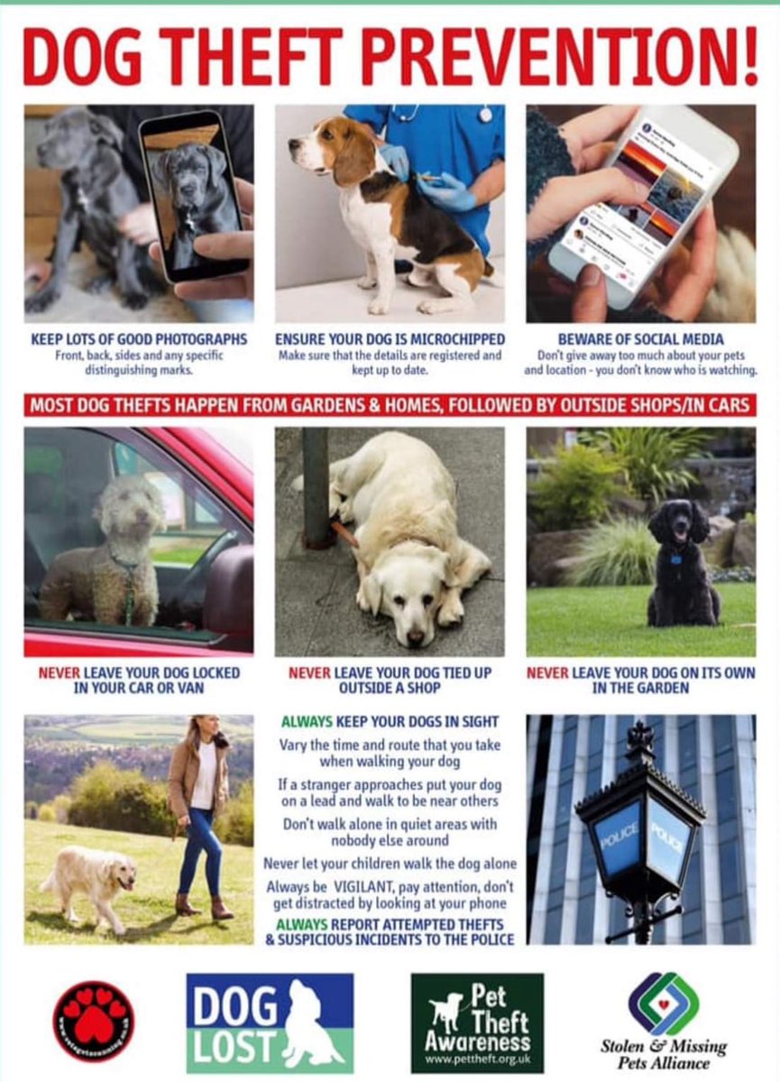 All Creatures Rescue tweet media