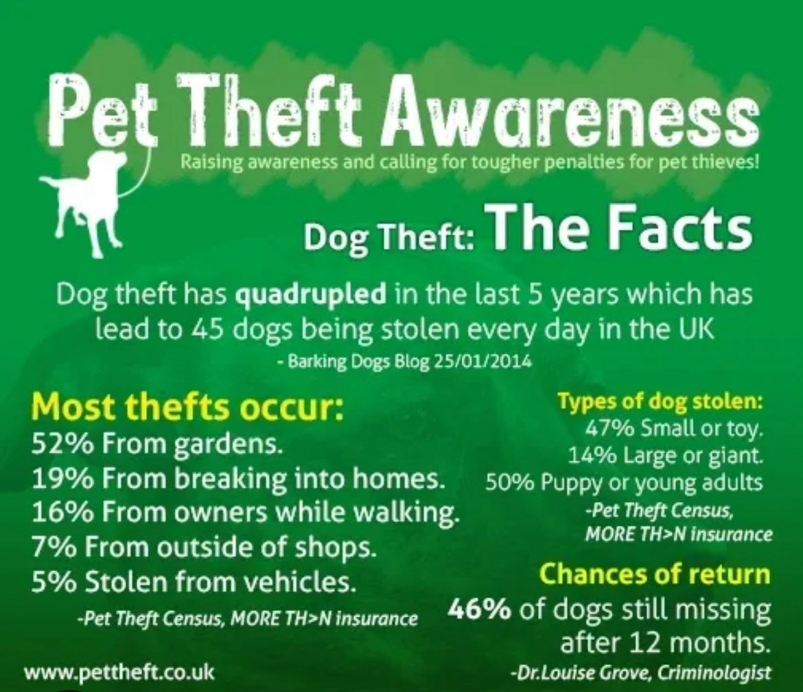 All Creatures Rescue tweet media