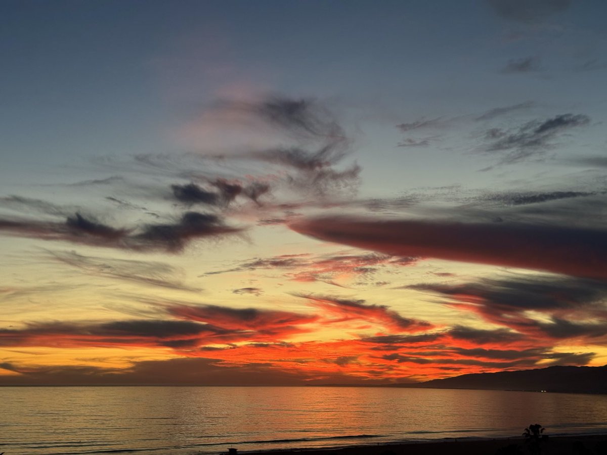 Tom Hall ☘️ tweet media