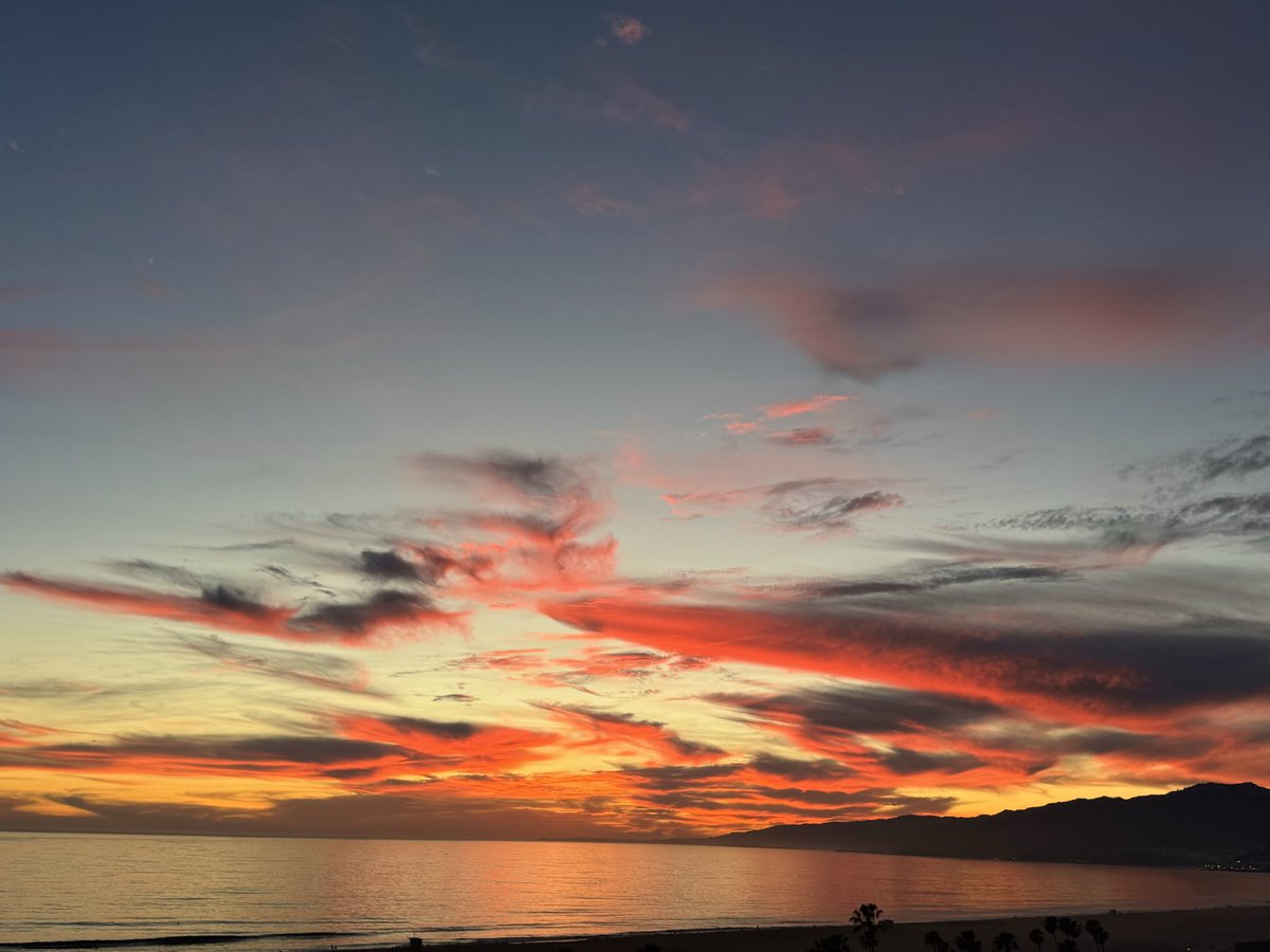 Tom Hall ☘️ tweet media