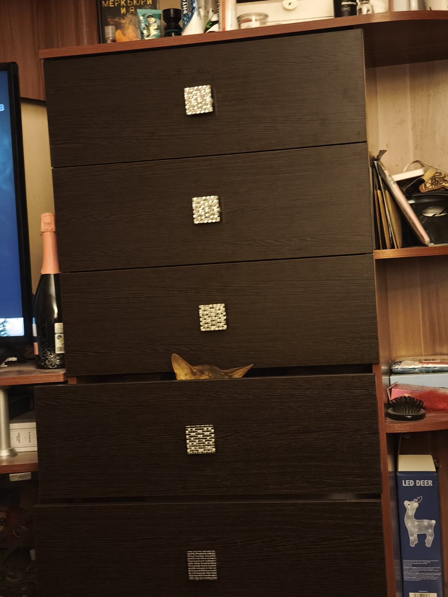 Залез в нижний ящик, открыл его, посидел там. Вылез, открыл из нижнего ящика тот что повыше, залез туда и вырубился