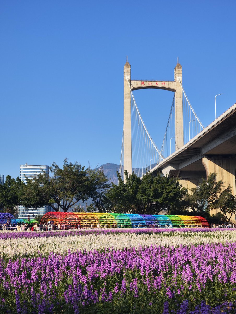 清风拂心弦 tweet media