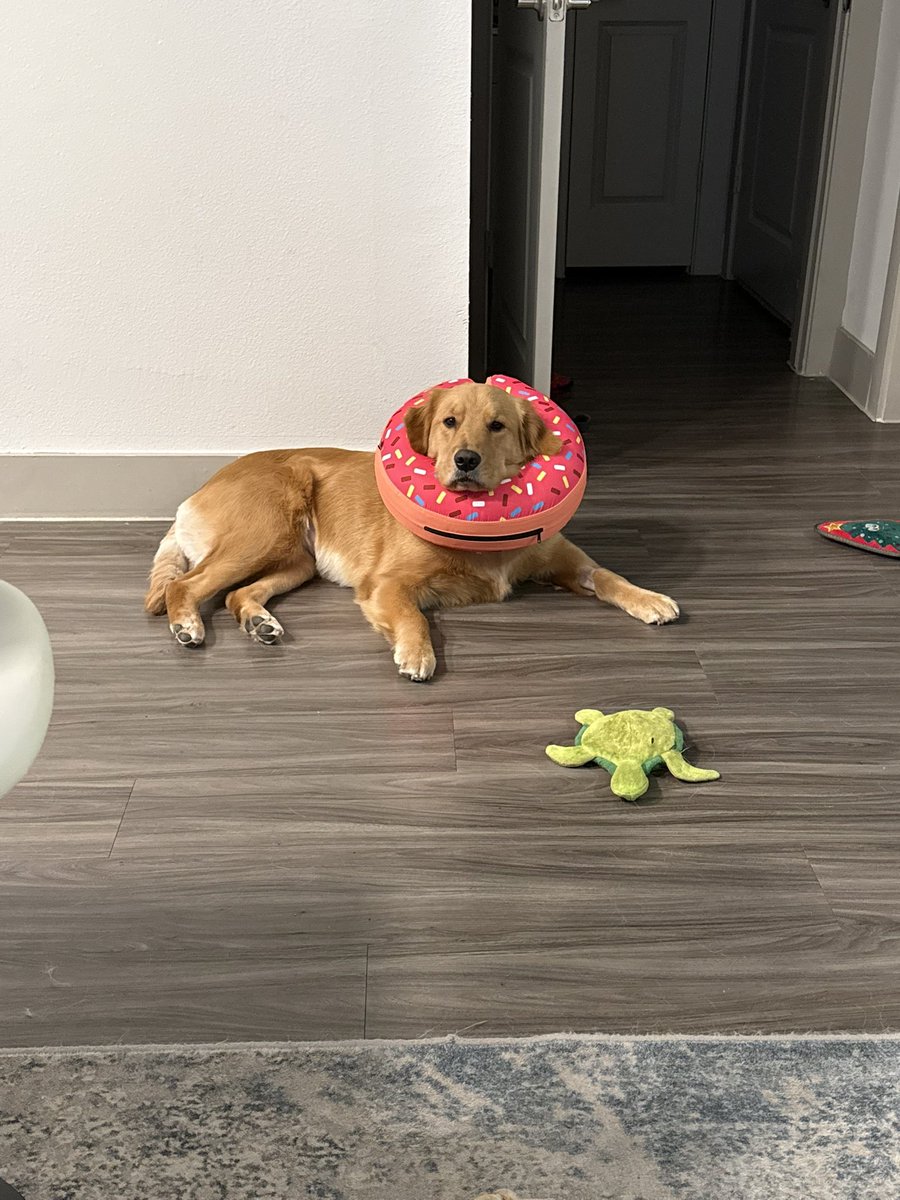 MikeIndo22's tweet image. Day 1,231 of tweeting @vindiesel until he promises me he’s going to put Pepas in the next Fast movie.  I will never stop grinding, I am dedicated #family and I know what this song will do to #FastandFurious #Fast11 needs this. I need this. Athena needs this.