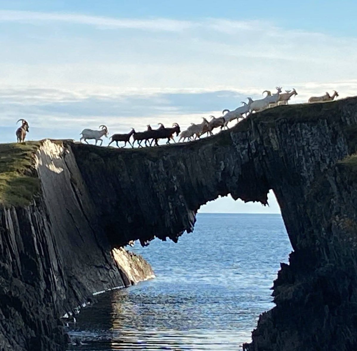 This is Ireland 🇮🇪☘️ tweet media