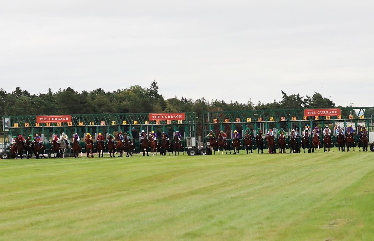 🐦Pigeon🐎Island🐦 tweet media