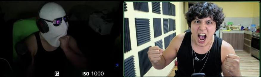 Meowl tweet media