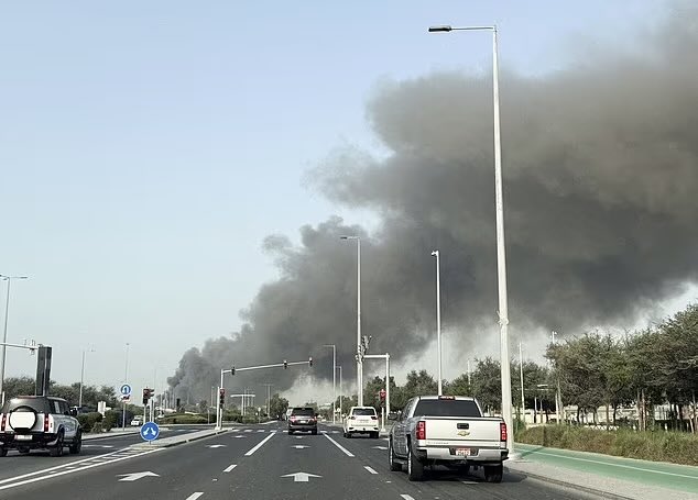 Mr. Whale tweet media