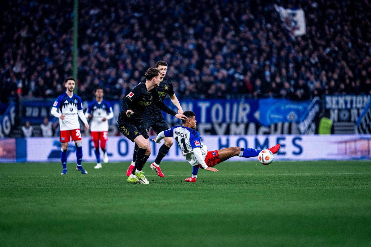 Hamburger SV tweet media