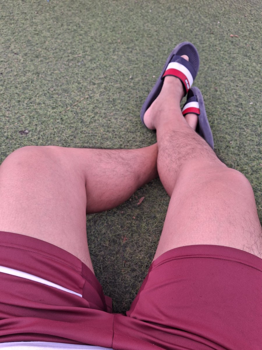 nicolas saldivar tweet media