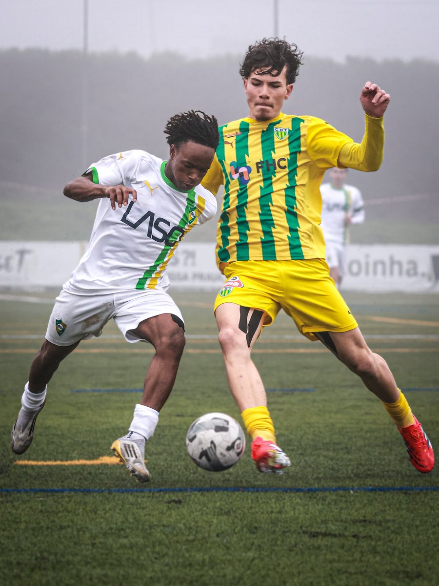 Clube Desportivo de Mafra tweet media