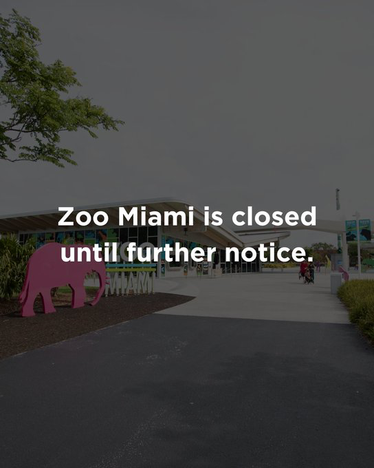 Zoo Miami tweet media