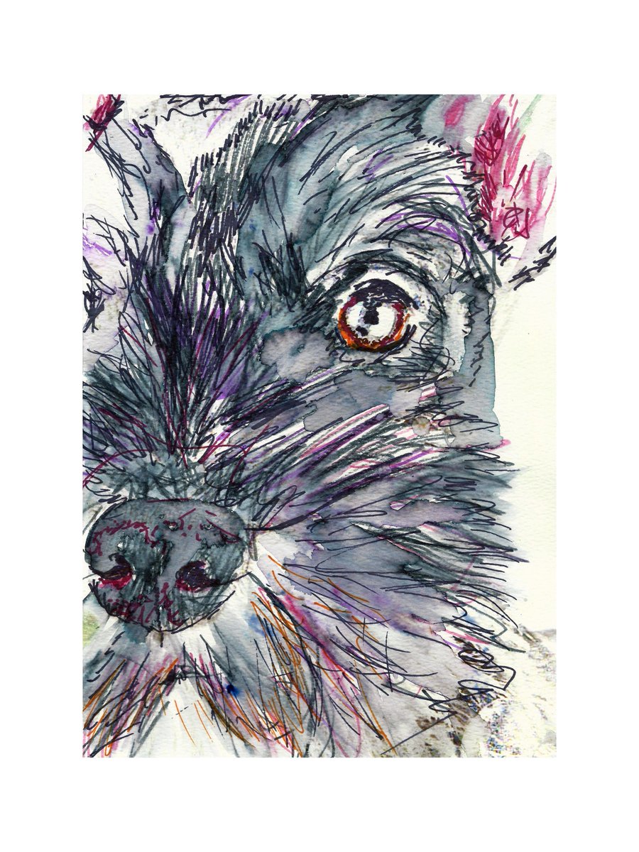 OscarJetson's tweet photo. Schnauzer Dog Art Print: Colorful Watercolor Painting, Hand Signed https://t.co/ekmAZG8ZdL #DogFishArtCo #art #decor #Etsy #ColorfulDogArt https://t.co/j4qpjESD8l