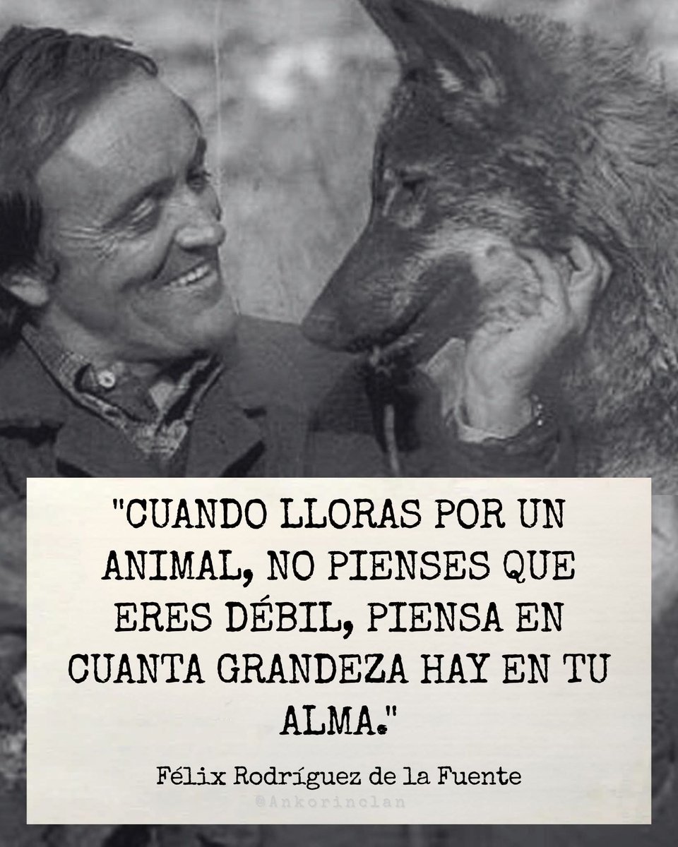 Primitivismo Sapiencial 🐺🪓💪🏻 tweet media