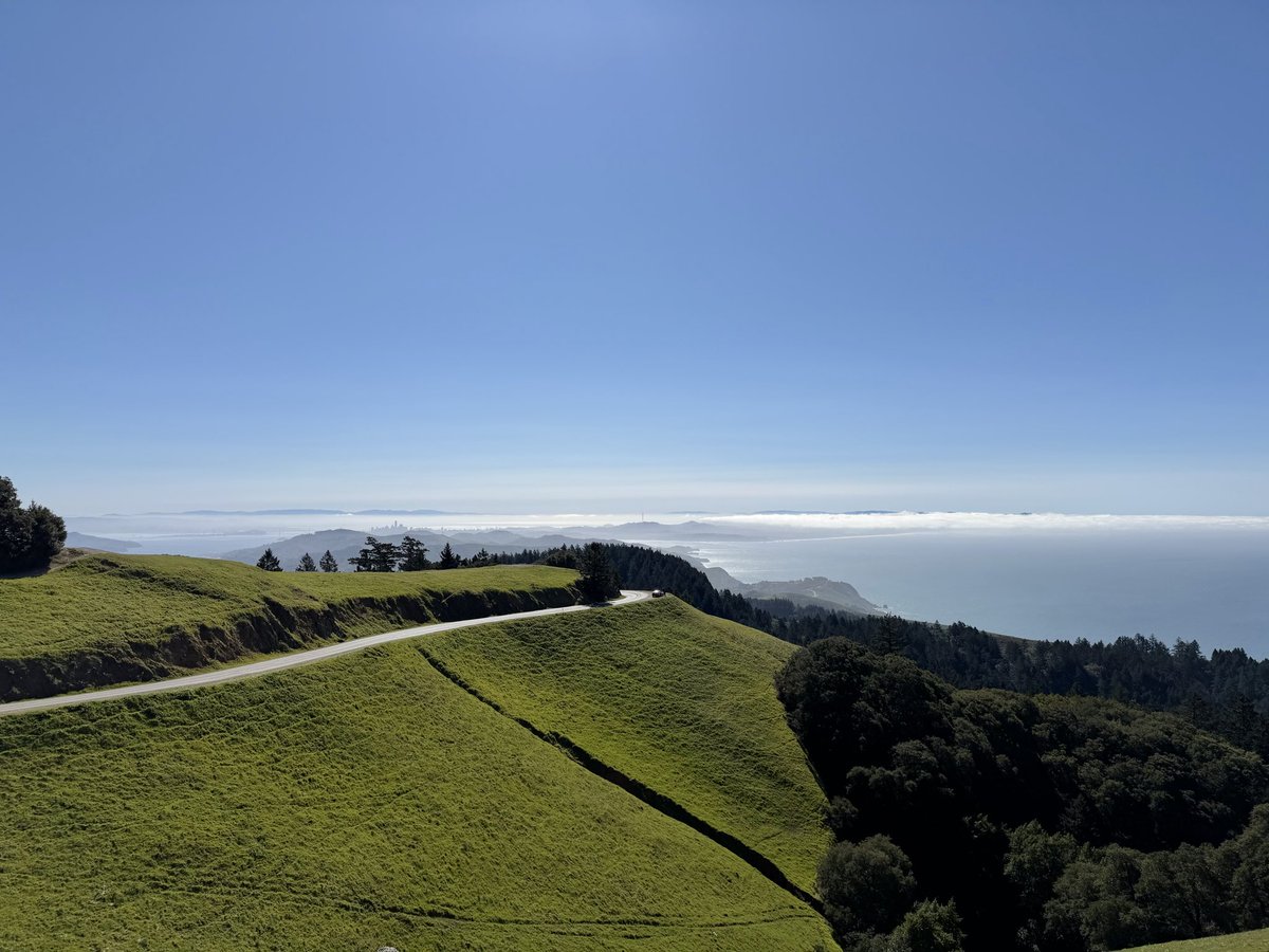 Nichole Wischoff tweet media