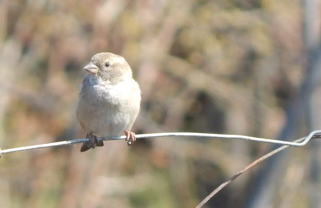 Mayko Ks. 🌞📸🇬🇪🇺🇦🇪🇺 tweet media