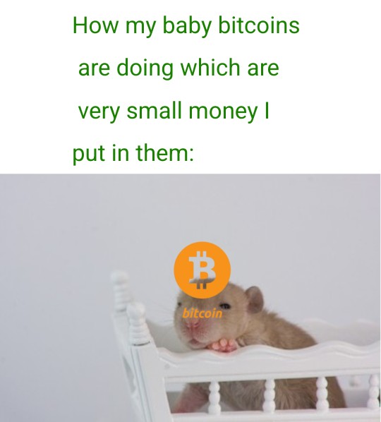 Anthony Maxsalien tweet media