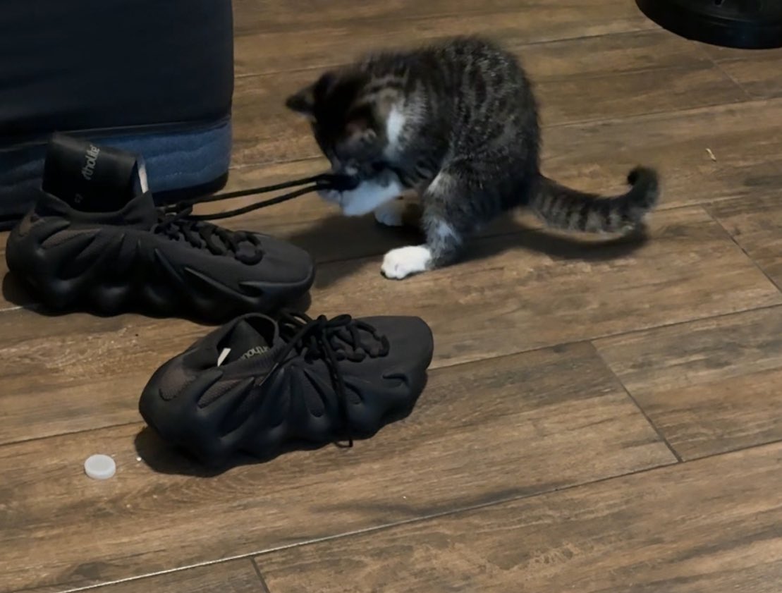 Skill🥸 tweet media