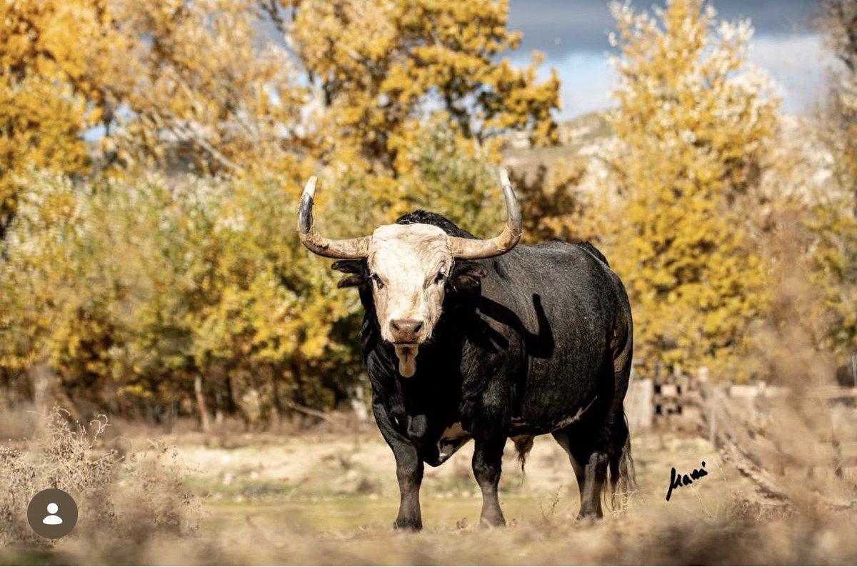 Esteban Castro R tweet media