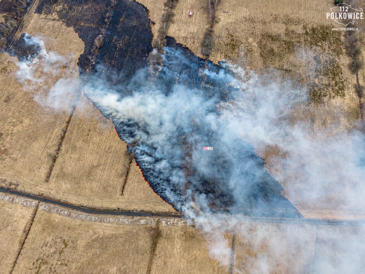 Remiza.pl tweet media