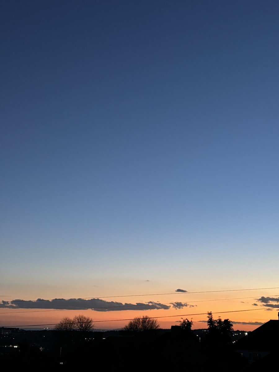 Patricia Young tweet media