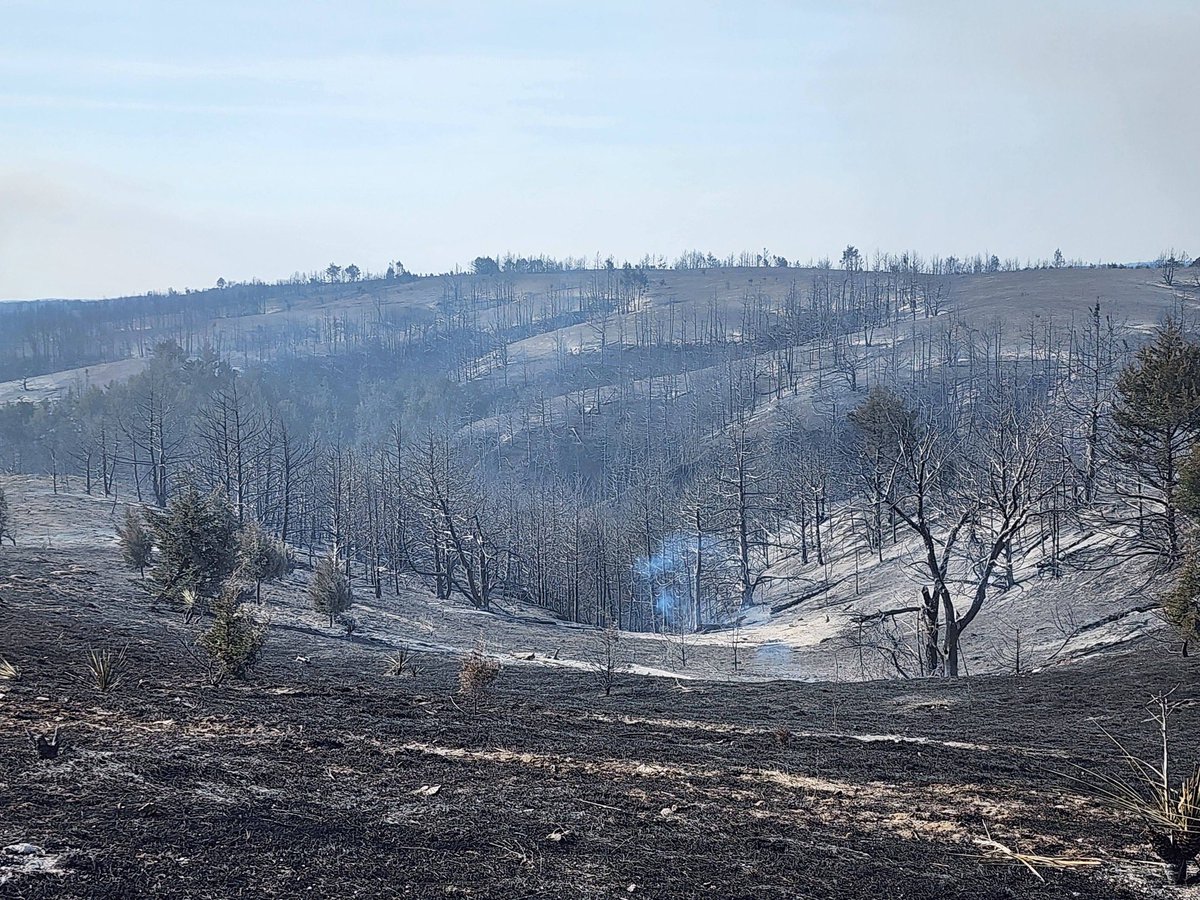 Nebraska Cattlemen® tweet media