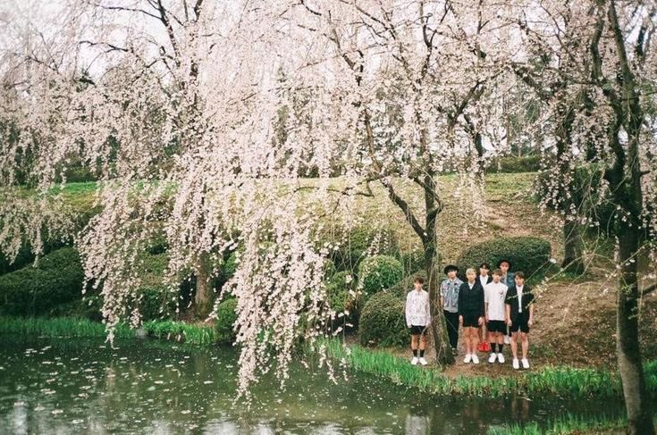 𝓁𝒶𝓊𝓇𝒶 🪷 VERÁ A BTS tweet media