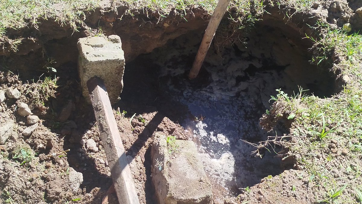 Amauri ### tweet media