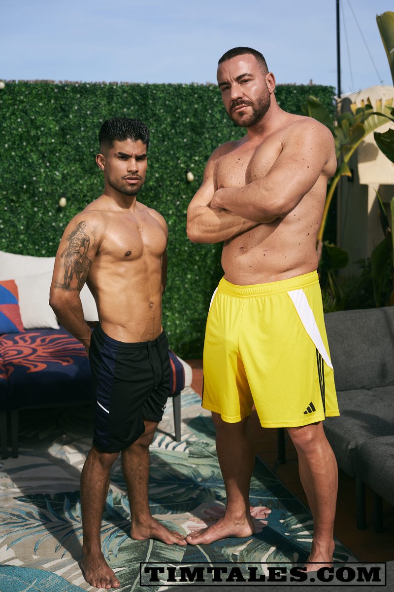 Timtales tweet media