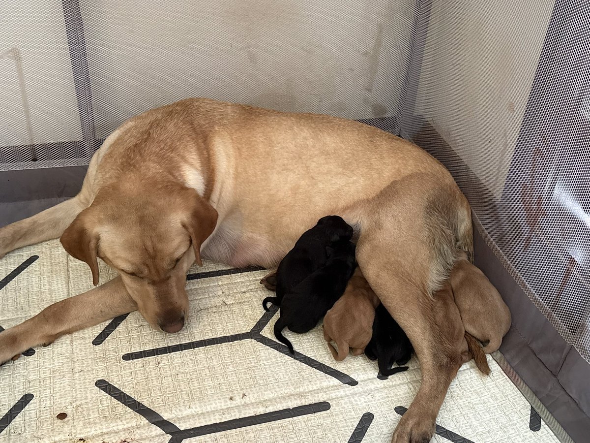 Toby Bryant tweet media