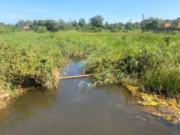 Lango Unveiled 🌴 tweet media