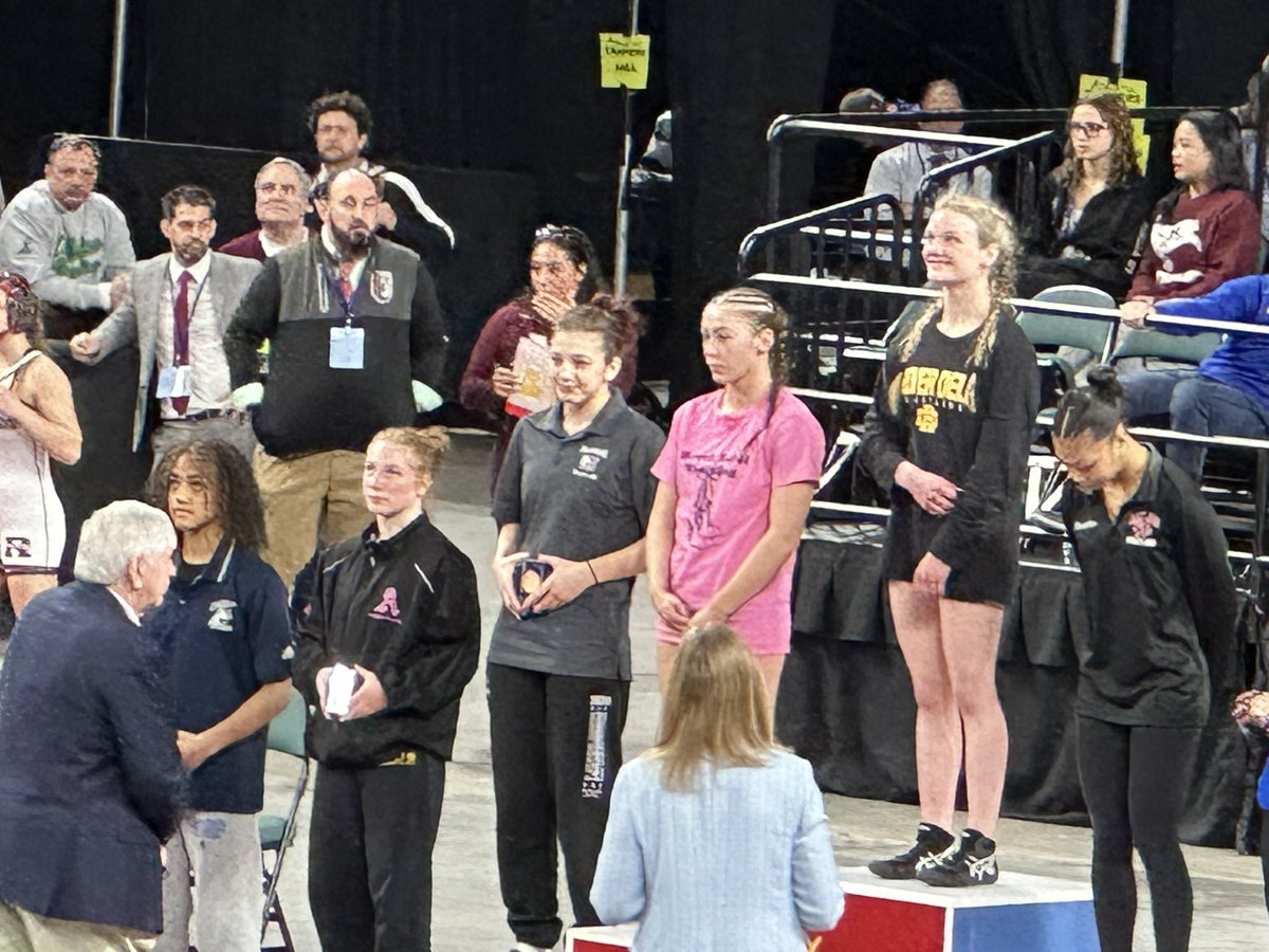 PBurg HS Lady Liners Wrestling tweet media