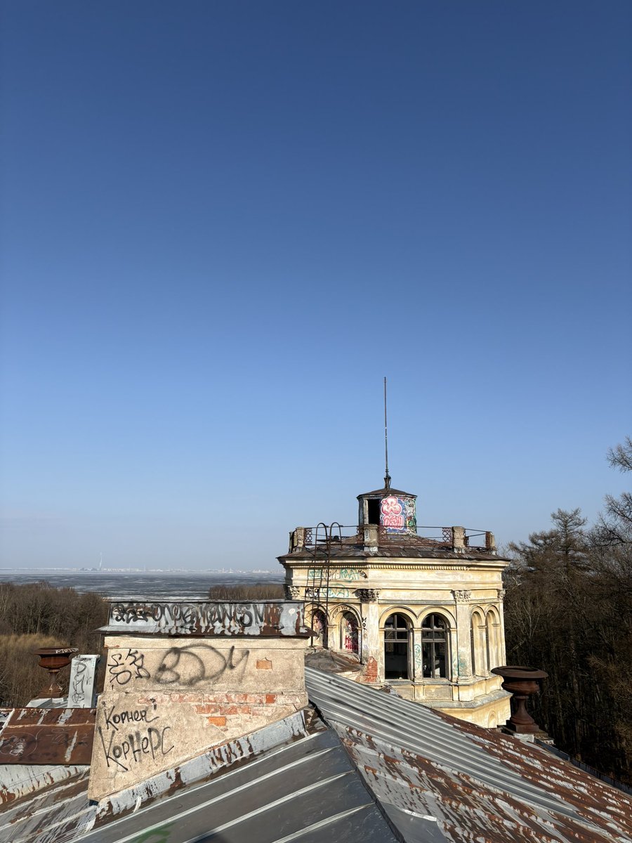 взрослый ребёнок tweet media