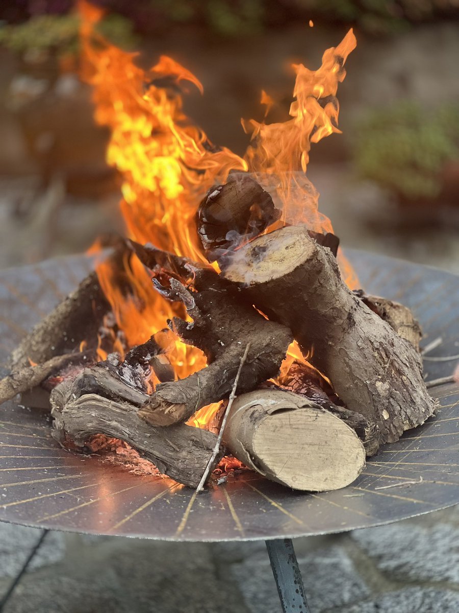 André Afonso tweet media