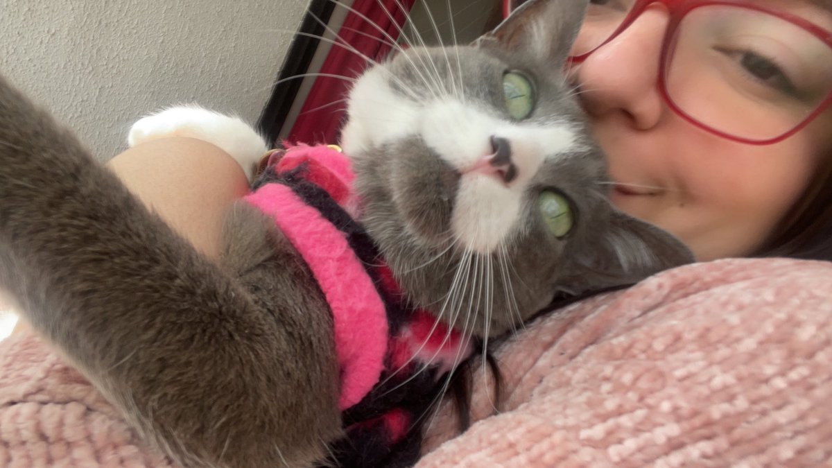 Canela 🐦‍⬛ tweet media