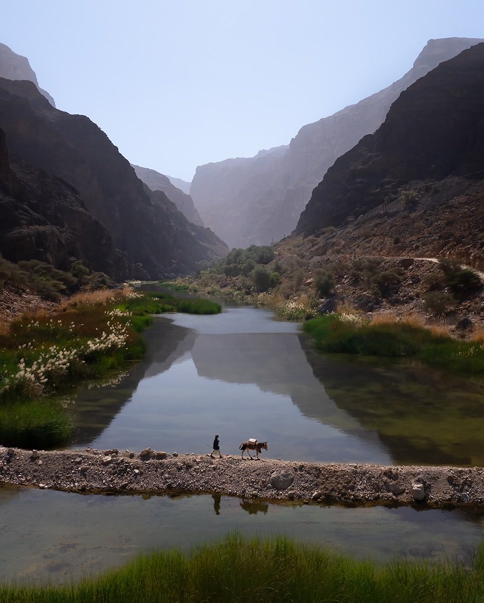 Experience Oman tweet media