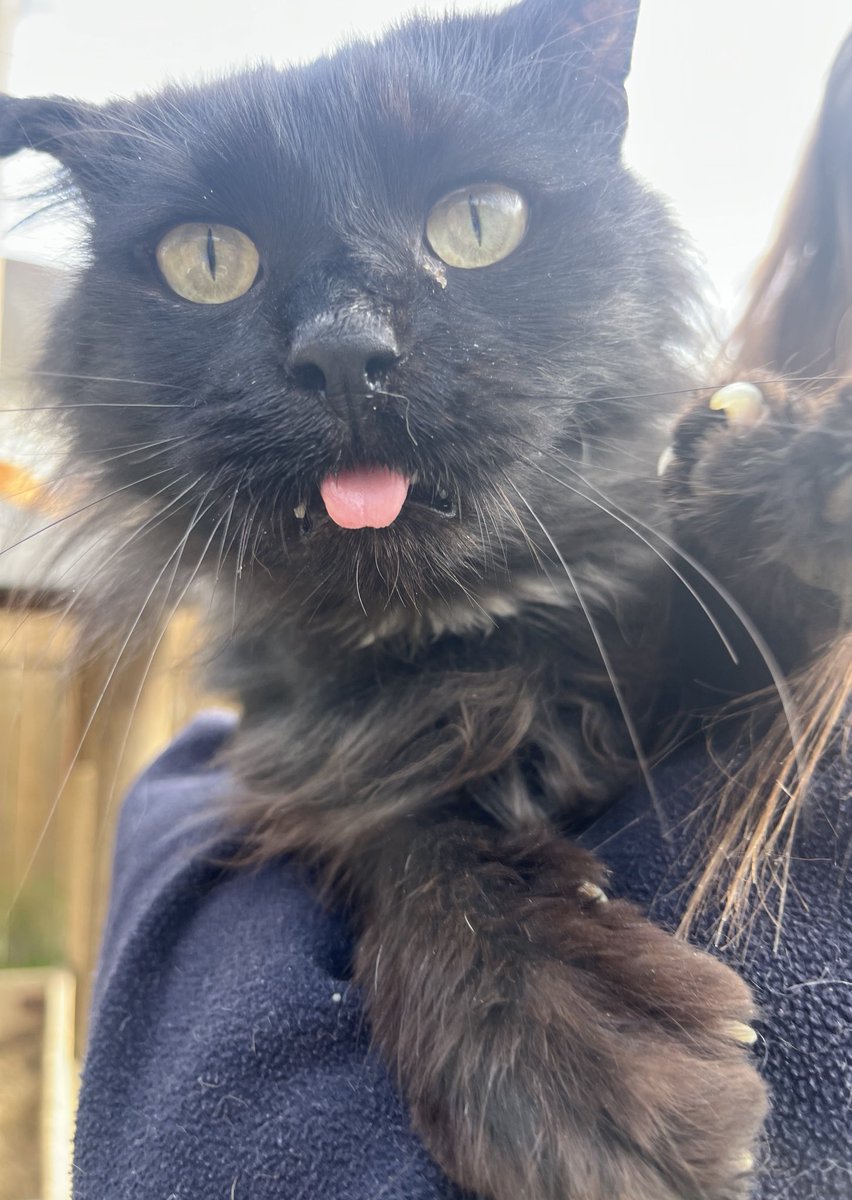 ixtab⋆ﾟ tweet media