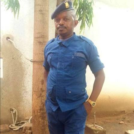 Imbwa itukura tweet media