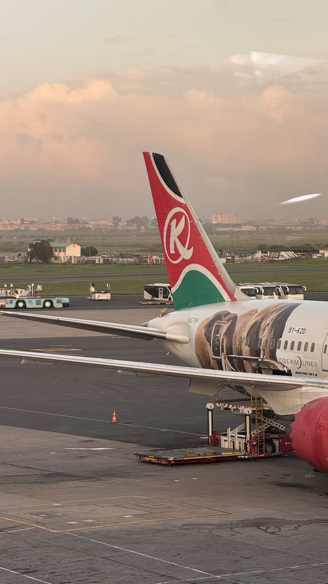 Tayo Aina tweet media