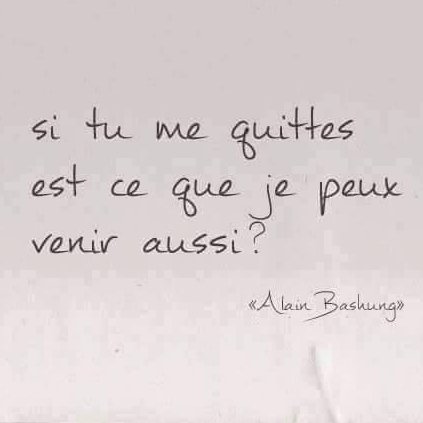 🫧 Laurent Potelle 🐝 🔻 tweet media