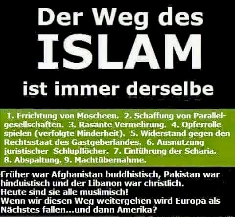 Lola Free tweet media