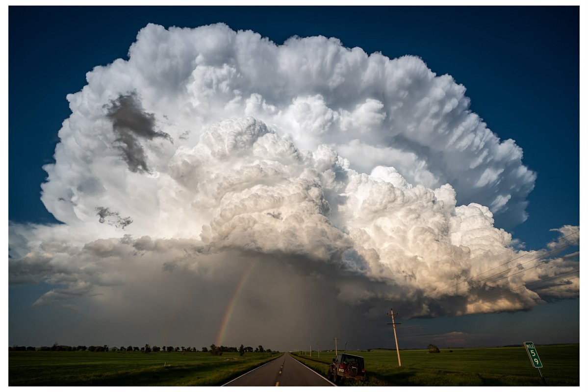 Shane Ornelas tweet media