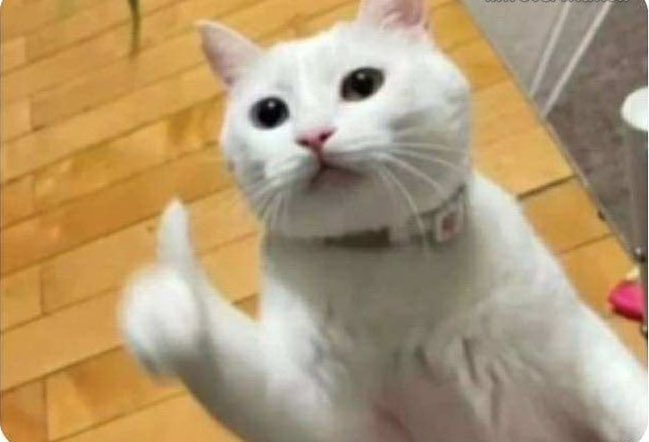 isnt_she_selena's tweet image. Start every phone call with "my battery is low" so you can hang up anytime