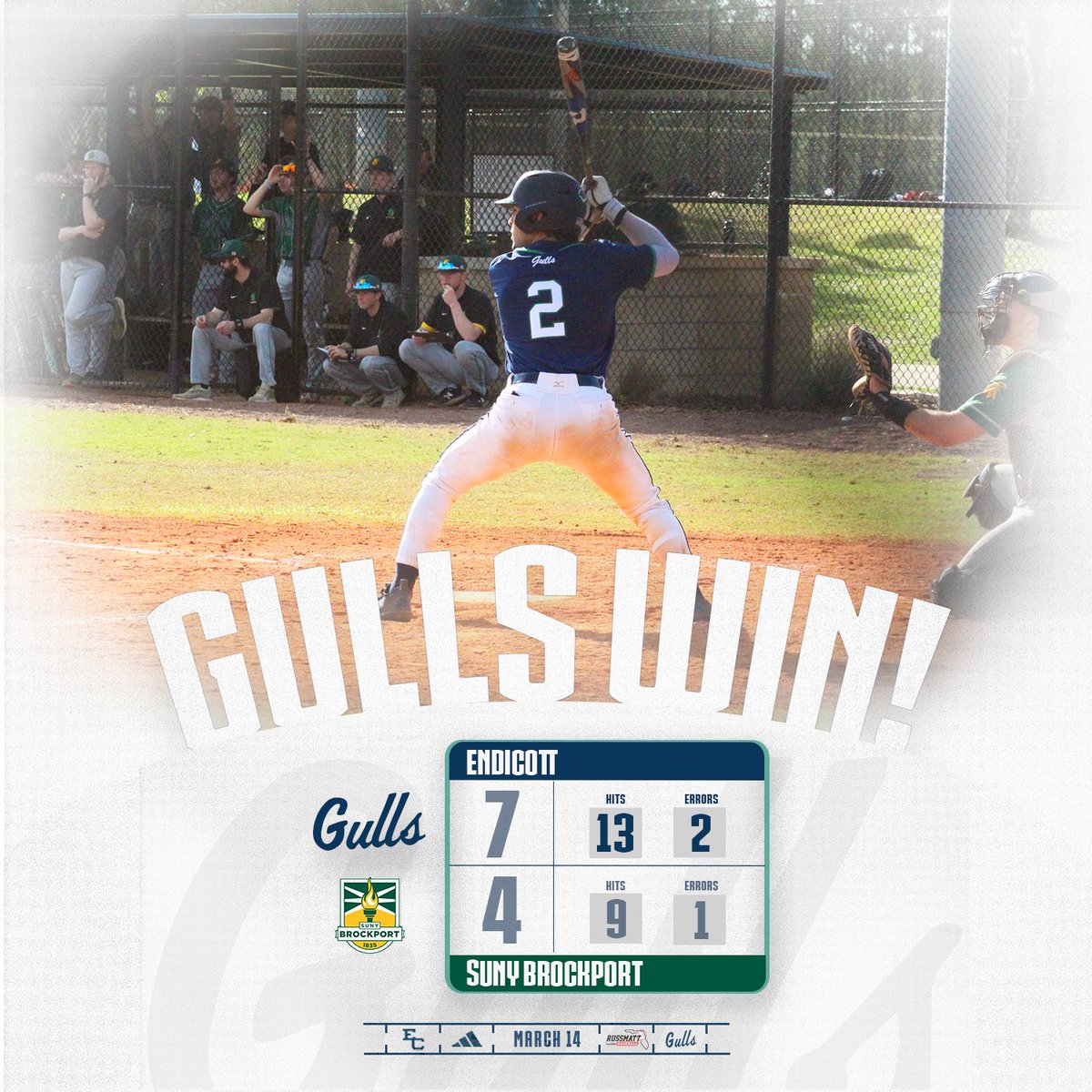 Endicott Baseball tweet media