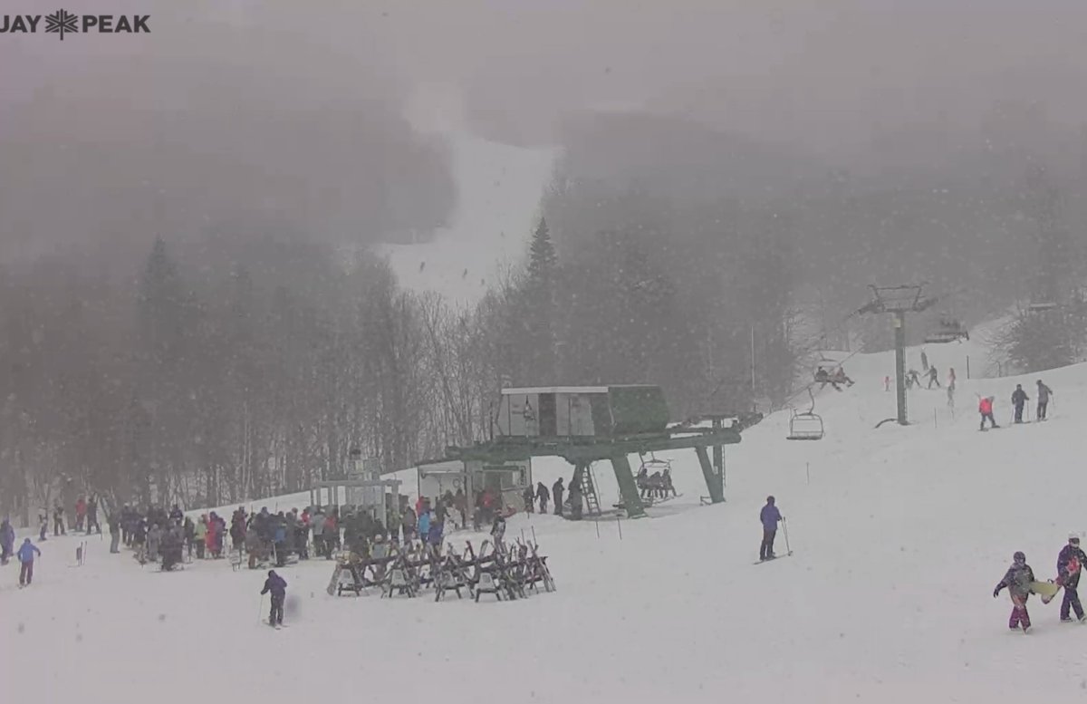 Tim Kelley tweet media