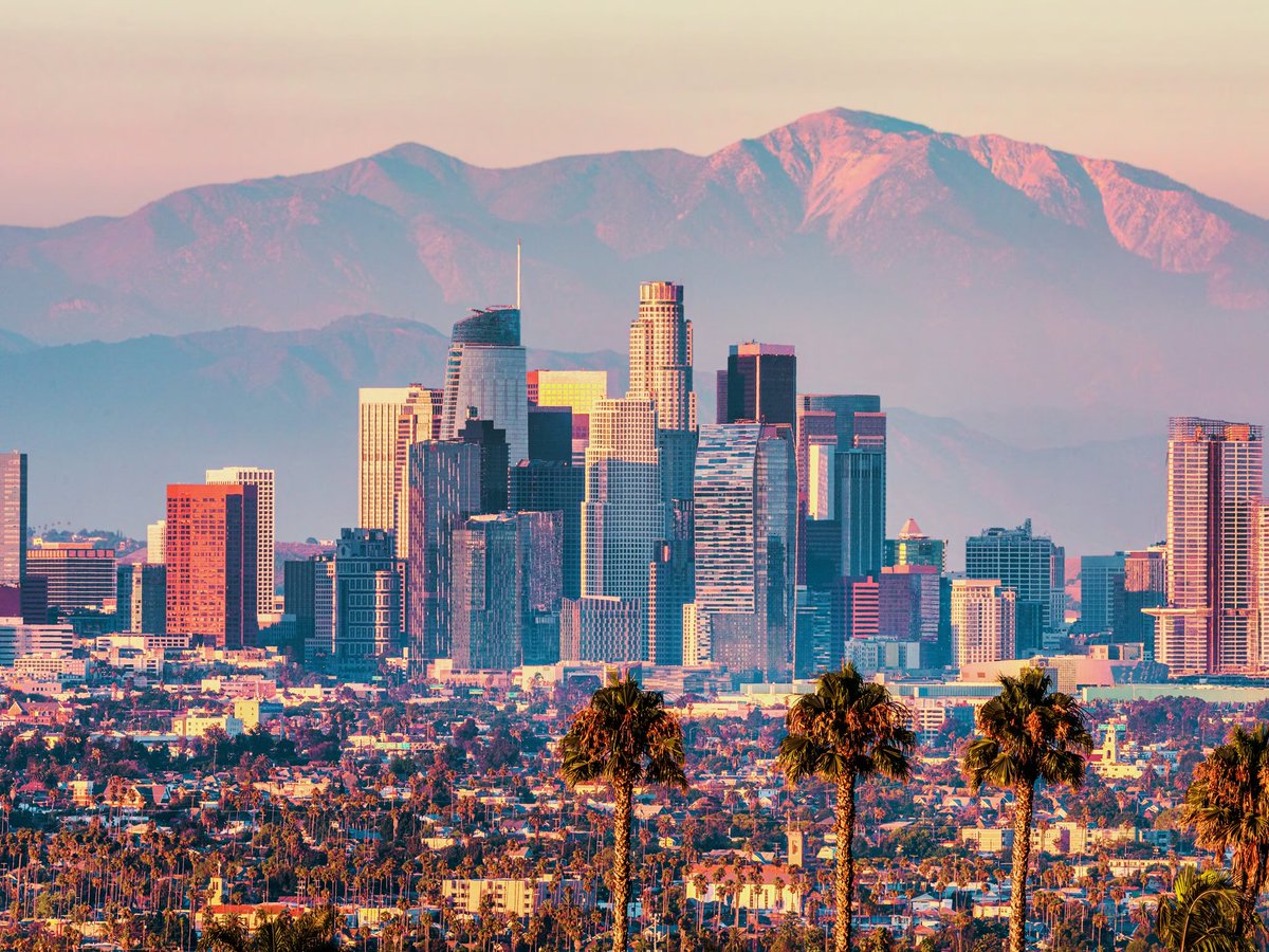 MSB Intel tweet media