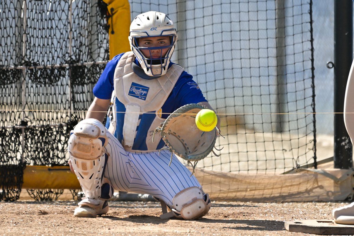 Bakersfield Softball tweet media