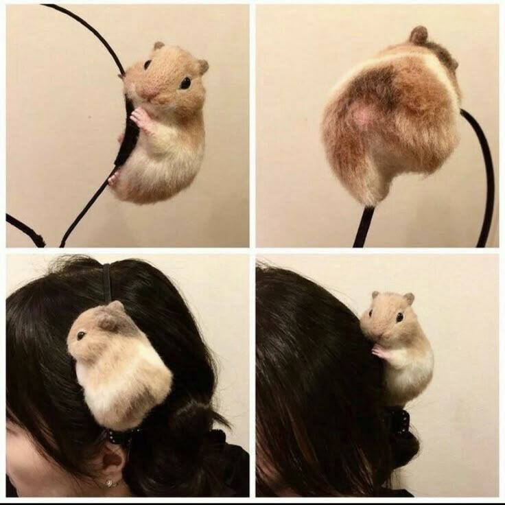 hamster tweet media